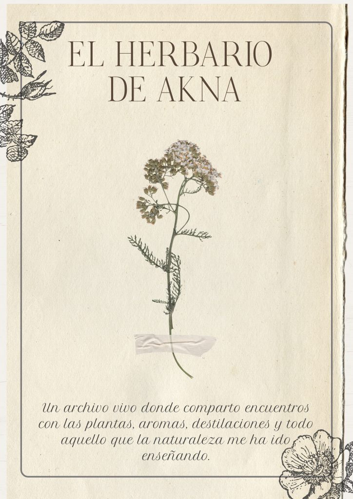 Cartel Talleres de Verano Orgánico Ilustrado Verde